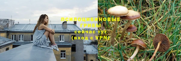 бошки Армянск