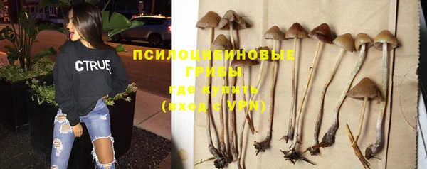 бутират Аркадак