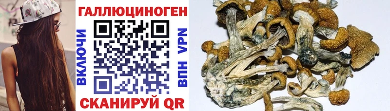Галлюциногенные грибы мицелий  мега ТОР  Нерюнгри  цена наркотик 