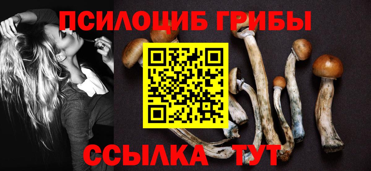 Галлюциногенные грибы Magic Shrooms Нерюнгри