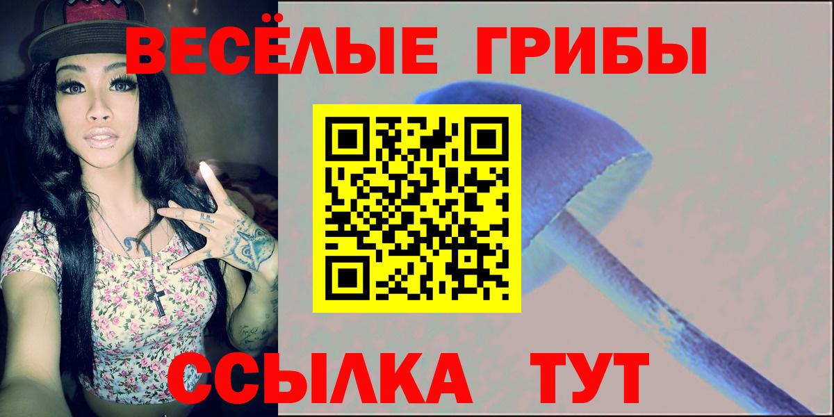 Нерюнгри  Галлюциногенные грибы прущие грибы  Вход с VPN 