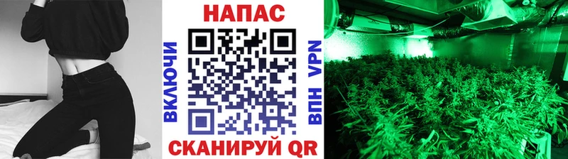 Бошки Шишки марихуана Нерюнгри